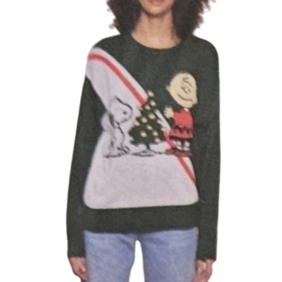 Peanuts by Sanctuary Sweaters - Peanuts by Sanctuary Sweater Women Green (Charlie Brown & Snoopy) Holiday NWT